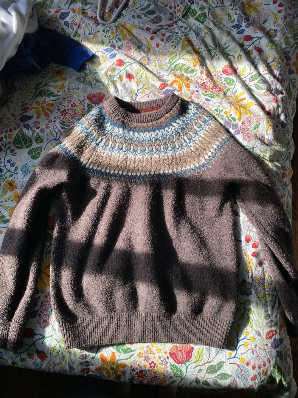 WIND RIVER Cozy Brown Fair Isle Sweater with Blue Accents